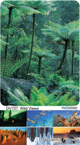 Wild Views