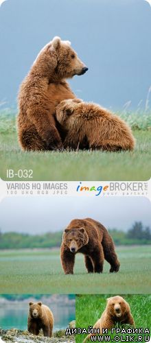 ImageBroker | IB-032 | Varios HQ Images ImageBroker | IB-032 | Varios HQ Images