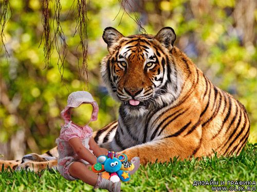 Шаблон для Фотошоп - Девочка с тигром