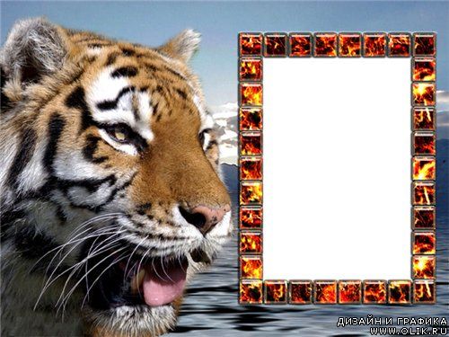 Рамка для Фотошоп - Тигр