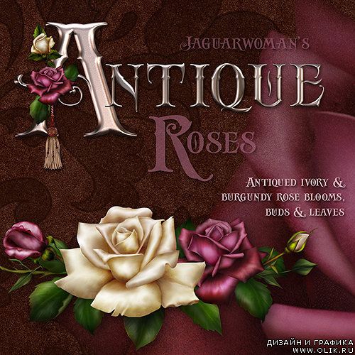 Antique Roses