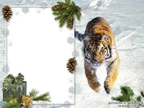 Рамка для фото –Тигр на снегу