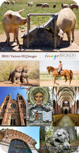 ImageBroker | IB051 Various HQ Images