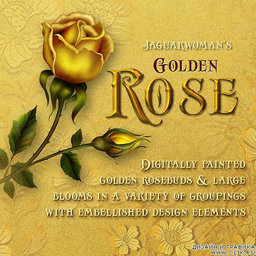 Golden rose