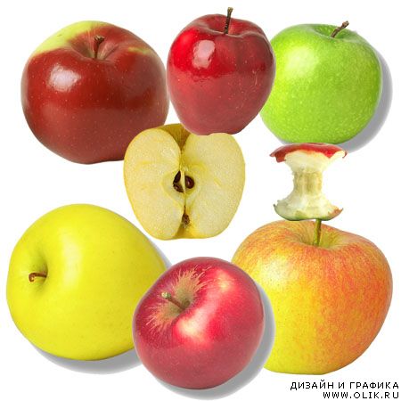 Растровый клипарт-Всё о яблоках