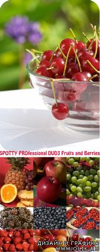 SPOTTY PROfessional DVD3 Fruits and Berries