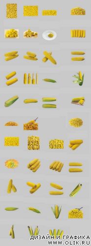 Corn PSD 
