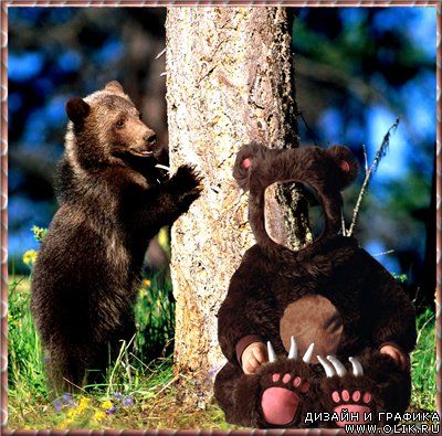Детский шаблон для фотошоп - Медвежата в лесу