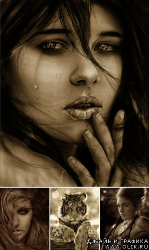 Творчество Isaiah Stephens