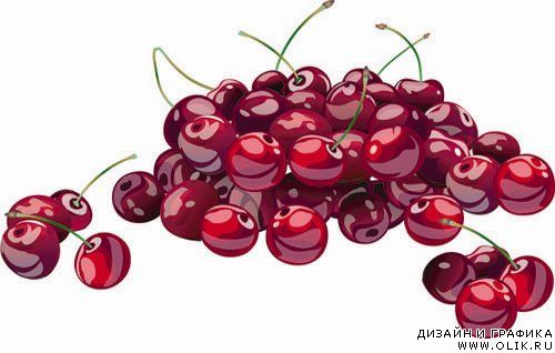 Cherry vector