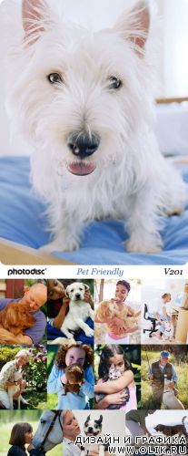 Photodisc | V201 | Pet Friendly