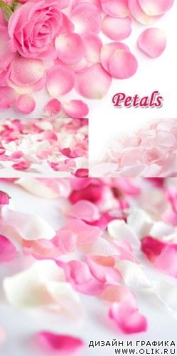 Petals