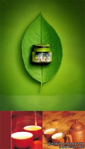 Tea - Psd Templates