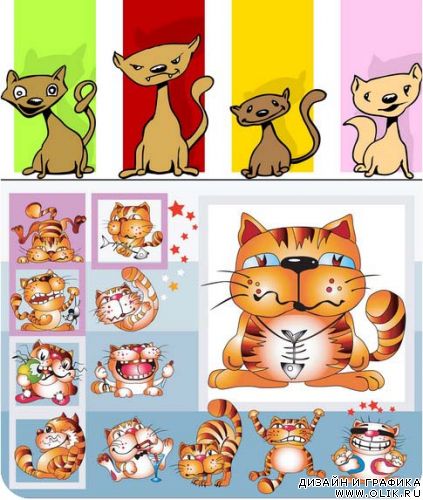 Cats Cats