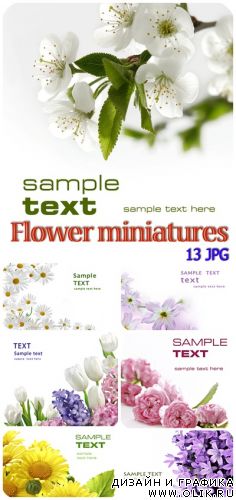 Flower miniatures