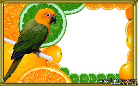 Рамки для фотошоп - «Апельсин»
