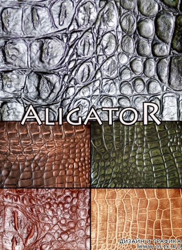 Aligator texture