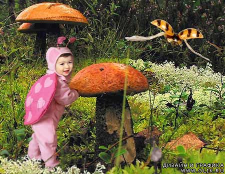 шаблон для фотомонтажа -  Жучок шаблон для фотомонтажа -  Жучок