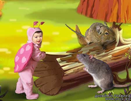 шаблон для фотомонтажа -  Жучок шаблон для фотомонтажа -  Жучок