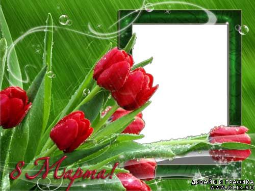 Рамка для фото – Красные тюльпаны