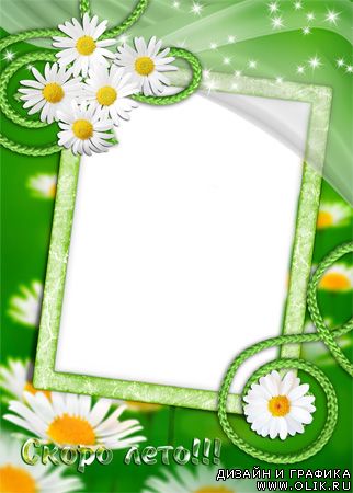 Рамка для фото - Ромашки