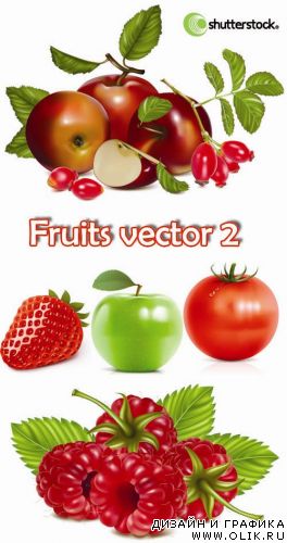 Fruits vector 2