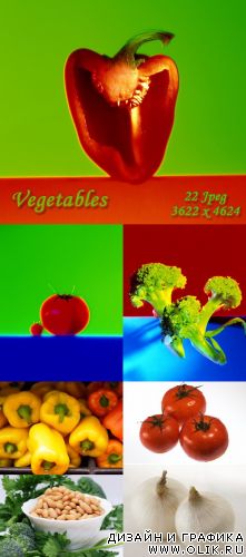 Vegetables Vegetables
