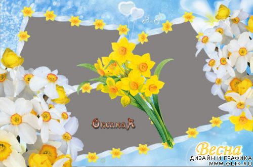 Рамка для PHSP 