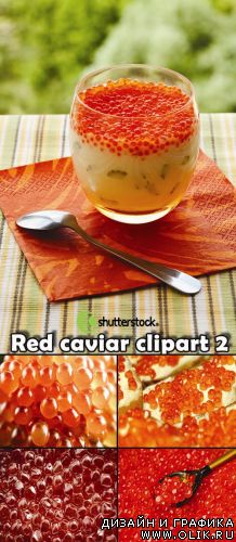Red caviar clipart 2