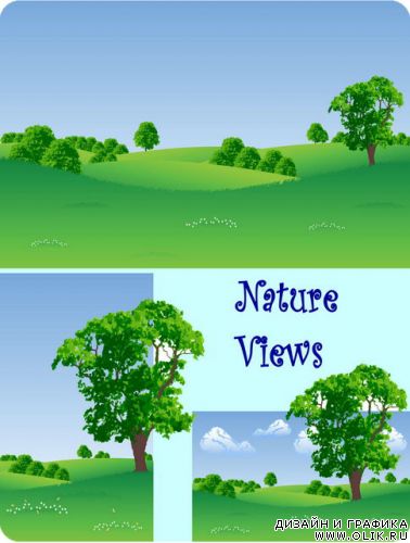 Nature views 5
