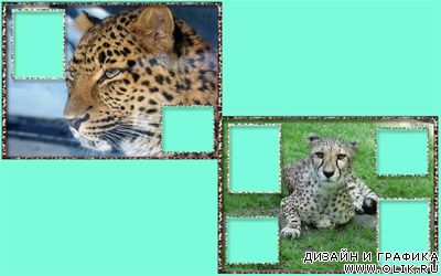 Рамка для фото – Леопард