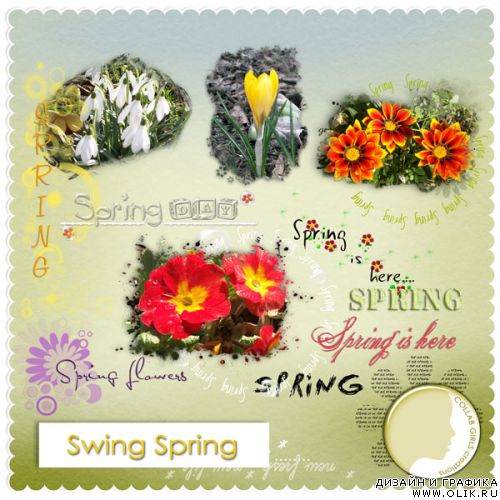 Swing spring by Collab Girls