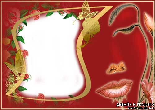 Frame for a PHSP - The woman a riddle