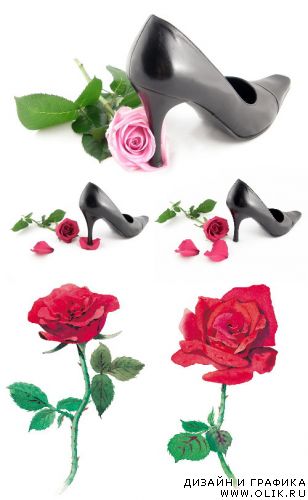 Roses