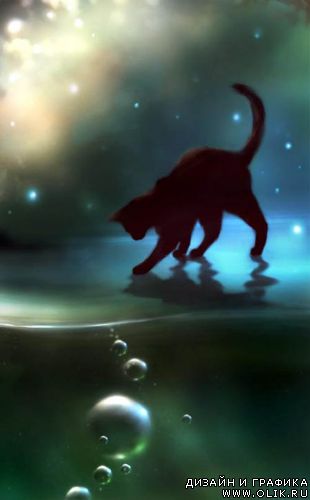 Творчество Apofiss Творчество Apofiss