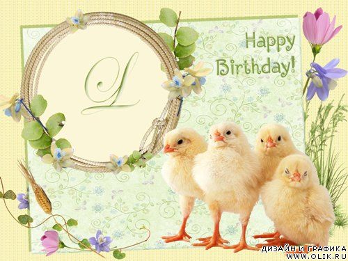 Поздравительная рамка – С Днём рождения, цыплёнок!