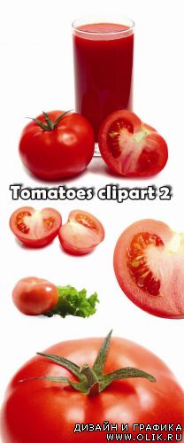 Tomatoes clipart 2