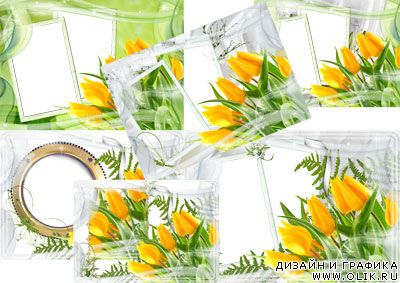 Рамочка для фотошоп - Желтые тюльпаны
