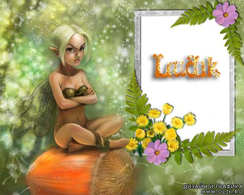 'рамка 'рамка