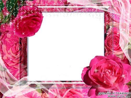 Рамка для фото – Яркая роза