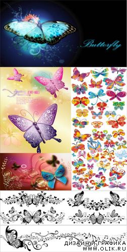Butterflies vector set Butterflies vector set