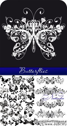 Butterflies - vector