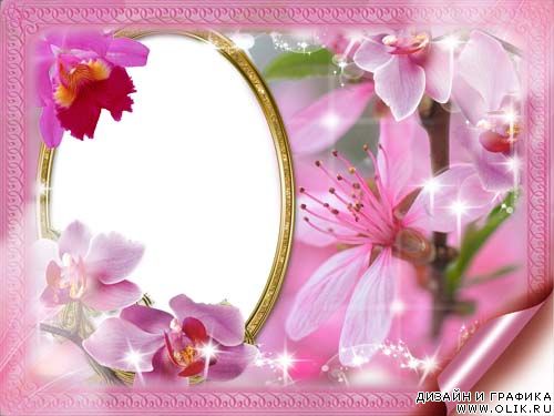 Рамка для фото – Розовые орхидеи