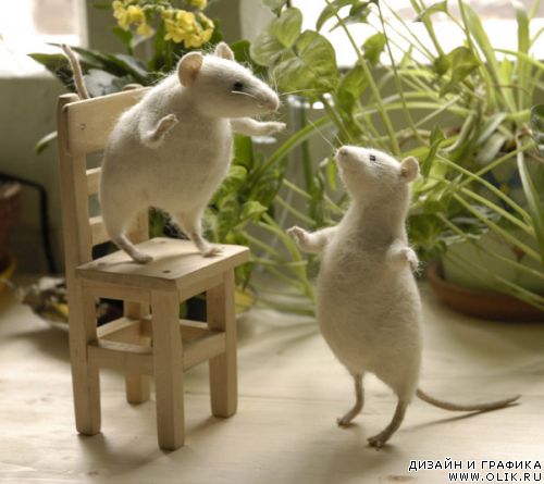 Кошки-мышки Натальи Фадеевой