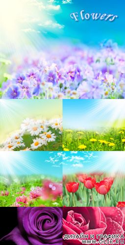 Flowers