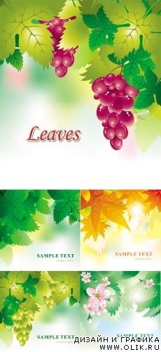 Leaves