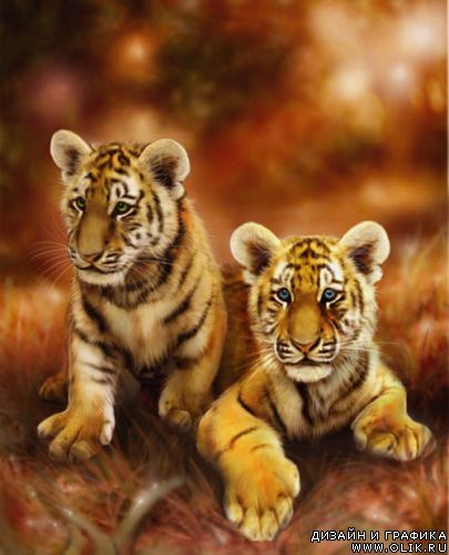 Творчество MoonsongWolf