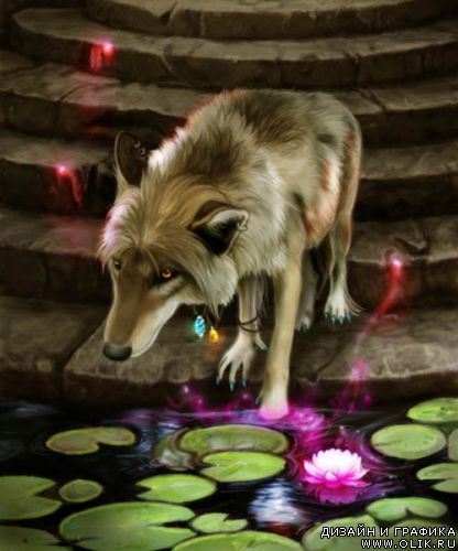 Творчество MoonsongWolf