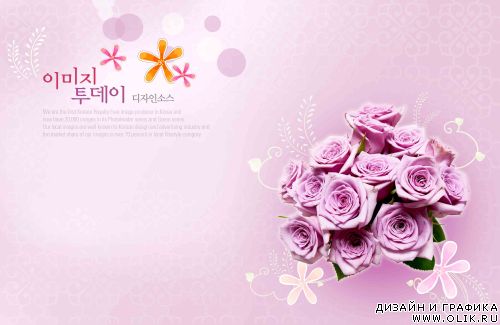 Beautiful backgrounds