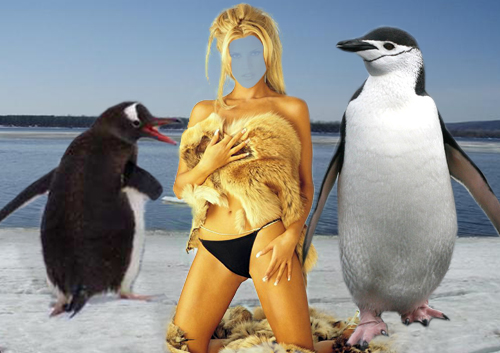 Шаблон для фотошоп - На льдине с пингвинами